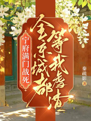 宁府满门战死,全京城都等我虐渣全文免费阅读