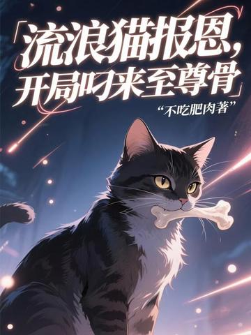 流浪猫报恩,开局叼来至尊骨全文免费阅读